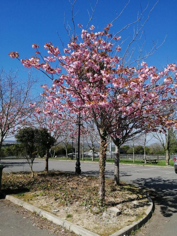 Apartment Tara View Garristown